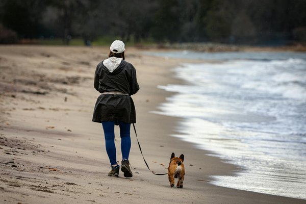 Key tactics for uk anglers: safeguarding fish populations and fostering sustainable fishing practices